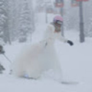 Meet your Posher, Leslie